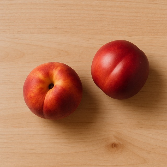Le brugnon et la nectarine