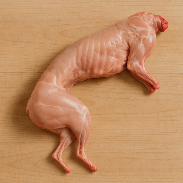 Le lapin